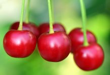Coller Capital expands European private wealth push through Cherry Bank partnership