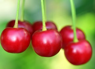Coller Capital expands European private wealth push through Cherry Bank partnership