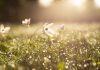 Lightspring Capital closes $218m second fund as lower mid-market specialist expands SBIC platform