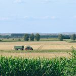 Homestead Capital launches first agri credit fund with $150m pension anchor