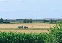 Homestead Capital launches first agri credit fund with $150m pension anchor