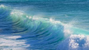 dimitrisvetsikas1969-surf-3104869