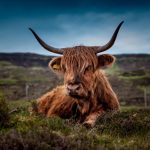 Highland Europe raises record €1.1bn Fund VI after year of strong exits