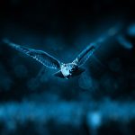 Blue Owl takes US sale-leaseback strategy to Europe, €1.6bn debut fund exceeds hard cap