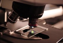 Frazier Life Sciences adds $1.1bn to public biotech fund, taking total commitments to $2.8bn