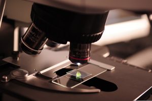 felixioncool-microscope-385364