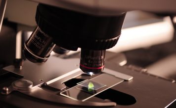 Frazier Life Sciences adds $1.1bn to public biotech fund, taking total commitments to $2.8bn