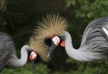 Crane Venture Partners raises $484m across four funds to build global seed investment platform