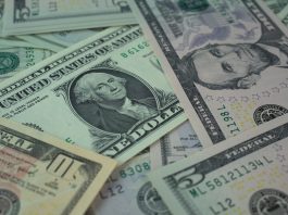 Public pensions lifted PE commitments 24% last year to $100.9bn, despite exit squeeze