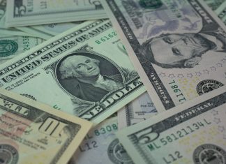 Public pensions lifted PE commitments 24% last year to $100.9bn, despite exit squeeze