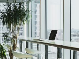 Bank of America Private Bank names new senior portfolio manager