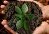 SWEN closes first Article 9 Europa fund at €236m with 80% already committed