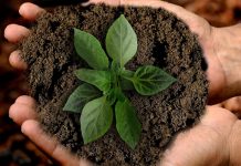 SWEN closes first Article 9 Europa fund at €236m with 80% already committed