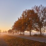 PGIM, LGT Capital Partners co-lead $680m Tree Line private credit secondaries CV
