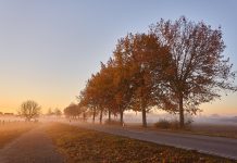 PGIM, LGT Capital Partners co-lead $680m Tree Line private credit secondaries CV
