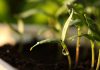 Linse Capital moves into early-stage deep tech with $150m Ignition strategy