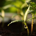 Linse Capital moves into early-stage deep tech with $150m Ignition strategy