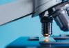 Forbion raises record €2.3bn across latest biotech venture, growth funds