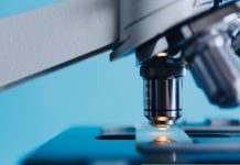 Forbion raises record €2.3bn across latest biotech venture, growth funds