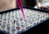 Deal Roundup: Clinical ink secures investments from Ardan Equity, Delegance Brokerage pulls in $3.1m pre-seed