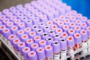 manduretorre-laboratory-3496713