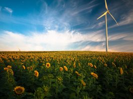 L&G and NTR secure €330m first close for fourth clean power fund, with 1.5GW portfolio already assembled