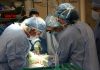 Deal Roundup: Bain retains stake in $5.7bn Surgery Partners take-private; Ember strikes £505m Ashtead Technology deal